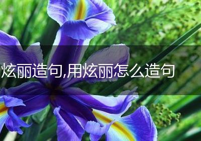 炫丽造句,用炫丽怎么造句