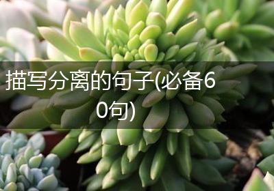 描写分离的句子(必备60句)