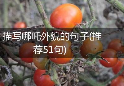 描写哪吒外貌的句子(推荐51句)