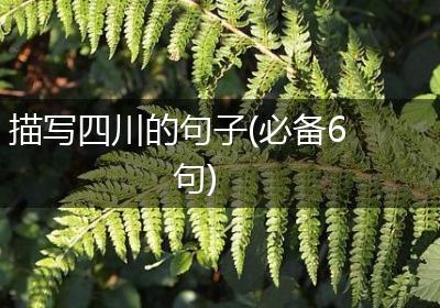 描写四川的句子(必备6句)