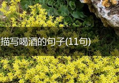 描写喝酒的句子(11句)