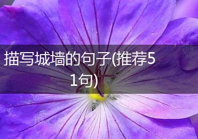 描写城墙的句子(推荐51句)