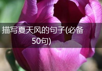描写夏天风的句子(必备50句)