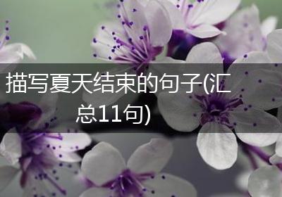描写夏天结束的句子(汇总11句)