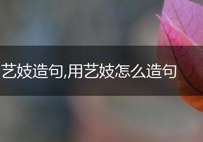 艺妓造句,用艺妓怎么造句