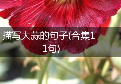 描写大蒜的句子(合集11句)
