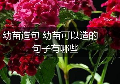 幼苗造句 幼苗可以造的句子有哪些