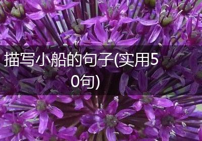 描写小船的句子(实用50句)