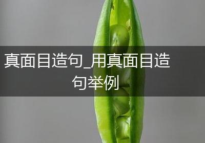 真面目造句_用真面目造句举例