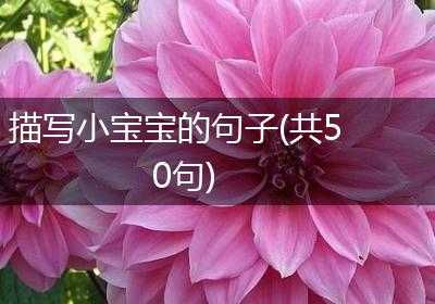 描写小宝宝的句子(共50句)