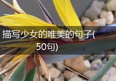 描写少女的唯美的句子(50句)