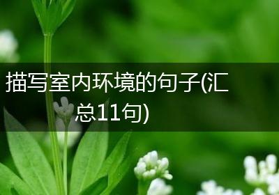 描写室内环境的句子(汇总11句)