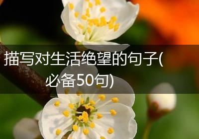 描写对生活绝望的句子(必备50句)