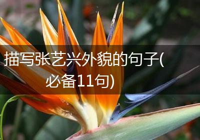 描写张艺兴外貌的句子(必备11句)