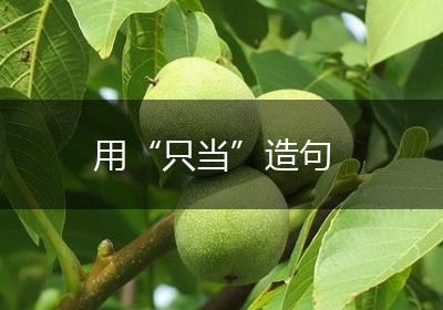 用“只当”造句
