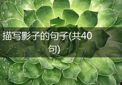 描写影子的句子(共40句)