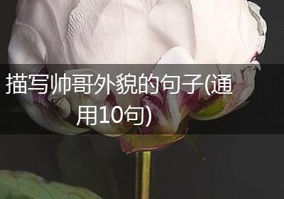 描写帅哥外貌的句子(通用10句)