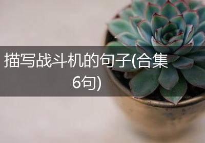 描写战斗机的句子(合集6句)