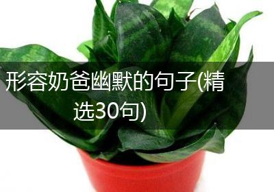 形容奶爸幽默的句子(精选30句)