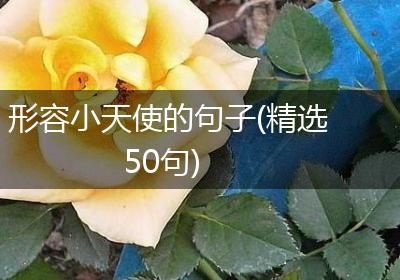 形容小天使的句子(精选50句)