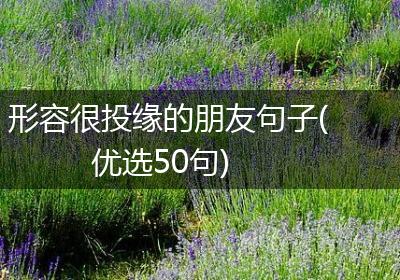 形容很投缘的朋友句子(优选50句)