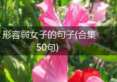 形容弱女子的句子(合集50句)