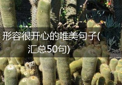 形容很开心的唯美句子(汇总50句)
