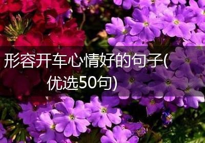 形容开车心情好的句子(优选50句)