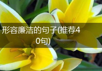 形容廉洁的句子(推荐40句)