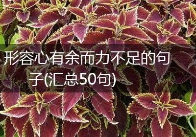 形容心有余而力不足的句子(汇总50句)