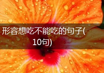 形容想吃不能吃的句子(10句)