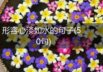 形容心淡如水的句子(50句)