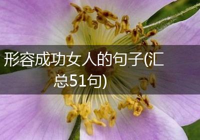 形容成功女人的句子(汇总51句)