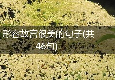 形容故宫很美的句子(共46句)