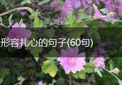 形容扎心的句子(60句)