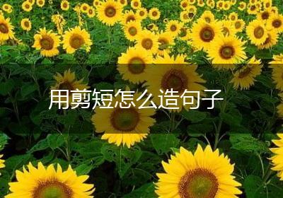用剪短怎么造句子