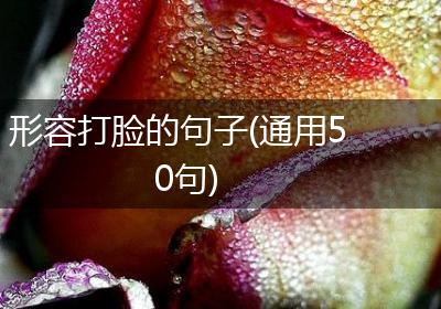 形容打脸的句子(通用50句)