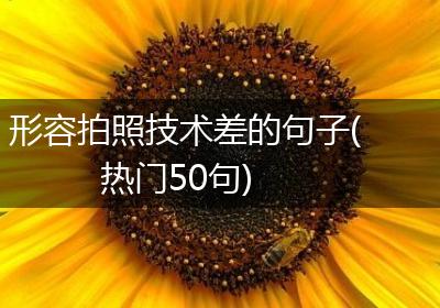 形容拍照技术差的句子(热门50句)