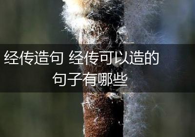 经传造句 经传可以造的句子有哪些