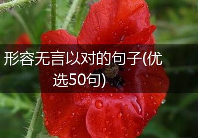 形容无言以对的句子(优选50句)