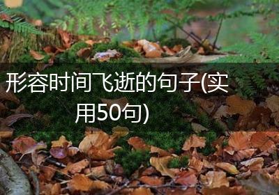 形容时间飞逝的句子(实用50句)
