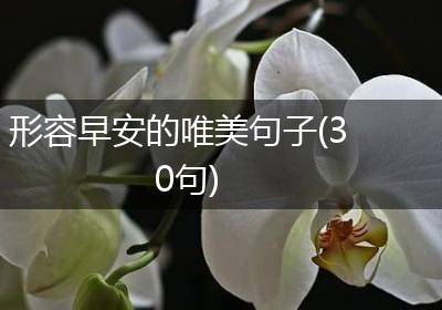 形容早安的唯美句子(30句)
