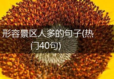 形容景区人多的句子(热门40句)