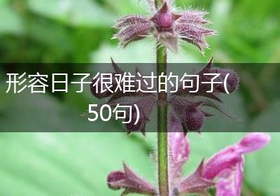 形容日子很难过的句子(50句)
