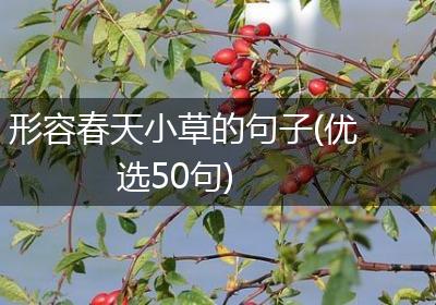 形容春天小草的句子(优选50句)