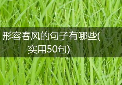 形容春风的句子有哪些(实用50句)