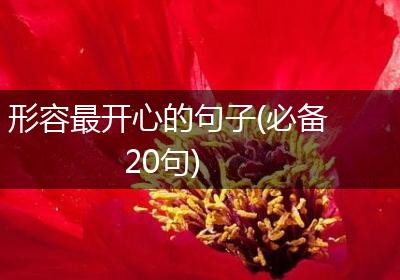 形容最开心的句子(必备20句)