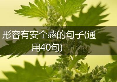 形容有安全感的句子(通用40句)