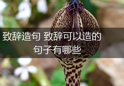 致辞造句 致辞可以造的句子有哪些