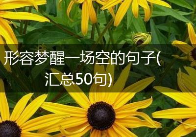 形容梦醒一场空的句子(汇总50句)